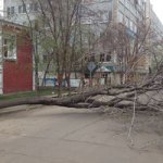 Ветер в Иркутске оставил без света более 65 тысяч человек