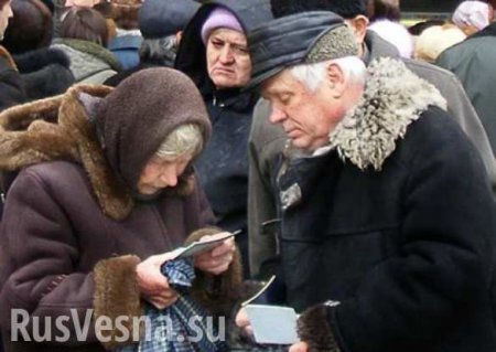 Часть социальных выплат в ДНР будет проводиться в долларах