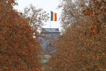 ​Власти Бельгии решили разблокировать часть российских счетов