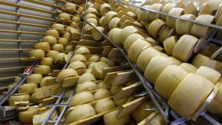 Валаамские монахи освоили производство элитных итальянских сыров