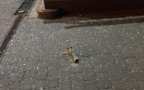 В центре Киева неизвестный обстрелял из гранатомета здание банка (ФОТО, ВИД ...