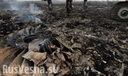 Эксперт: Идея трибунала по крушению Boeing MH 17 на Донбассе была провокацией против России