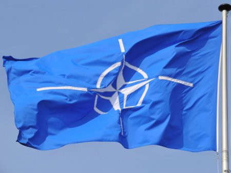 НАТО предостерегло ополченцев на Украине от наступления