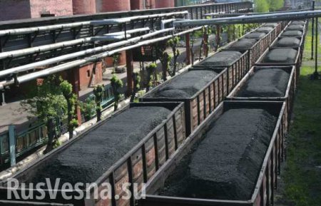 Разработка донецких ученых позволит добывать до 12% угля из переработанной породы терриконов