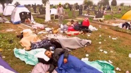 Беженцы на пути в Германию отдыхают на кладбище в Хорватии