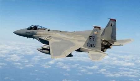Пентагон отправил в Турцию для патрулирования с воздуха шесть F-15