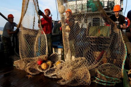 В Приморье рыбохозяйственным компаниям дадут "налоговые каникулы"