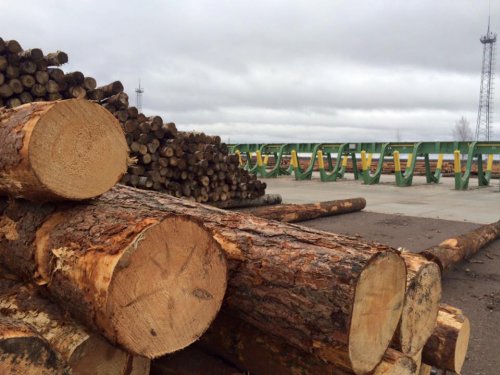Завод по глубокой переработке древесины открыли в Псковской области