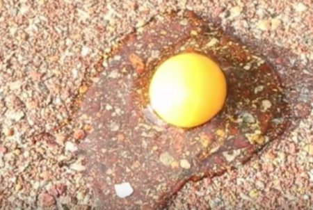 Ролик о необычном способе жарки яичницы в Австралии набрал миллион просмотров