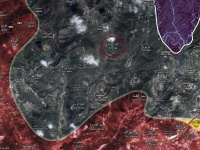 Сирийская армия попыталась взять под контроль село в тылу боевиков в провин ...