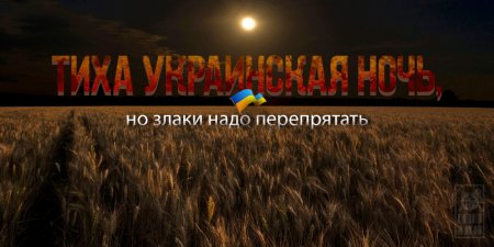 Тиха украинская ночь, но злаки надо перепрятать