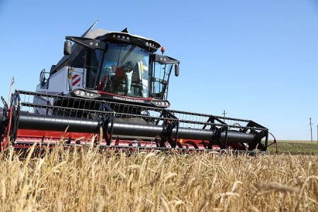 «Есть рекорд! Пшеницы в России уже собрано рекордное количество - 66.8 млн  ...