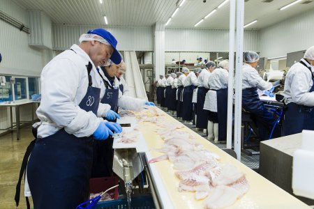 «В Мурманской области открыта новая рыбоперерабатывающая фабрика» Новые и м ...