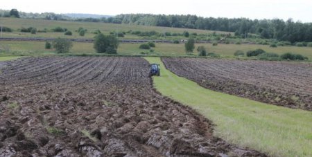 «Более 30 000 га брошенных нижегородских земель ввели в оборот за год» Сельское хозяйство