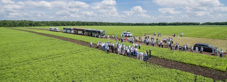 «В Орловской области успешно стартовал проект по импортозамещению производства семян сахарной свеклы» Сельское хозяйство