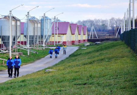 «В Саратовской области открыта вторая очередь свинокомплекса «Рамфуд-Поволжье»» Новые и модернизированные предприятия агропрома