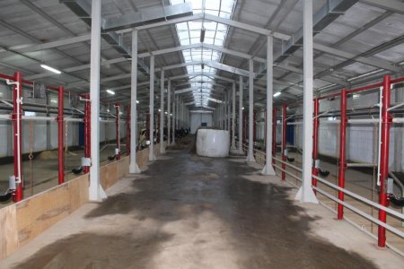 «В Республике Коми открыты 2 молочные фермы» Новые и модернизированные предприятия агропрома