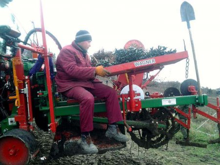 «В Севастополе продолжается закладка новых виноградников» Сельское хозяйство