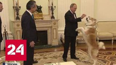 Под охраной собаки: Путин рассказал японским журналистам о Курилах и терпении