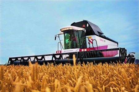 «Сельское хозяйство России: итоги 2016 года» Сельское хозяйство