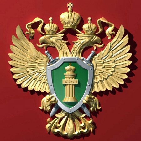 Прокуратура России: 295 лет на страже закона