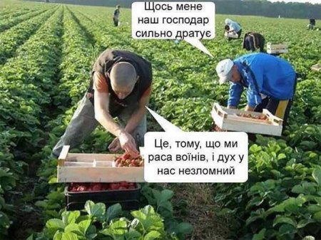 Украинцы – польские рабы