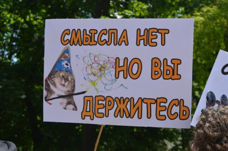 В Одессе возмутились проплаченными митингами