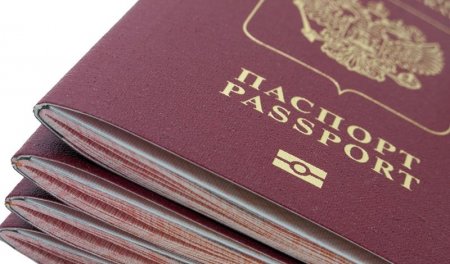 Грынив: Россиян надо пускать в Украину без виз по биометрическим паспортам 