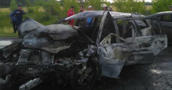В ДТП в Киевской области погибли 3 человека, в том числе депутат облсовета