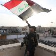 ВС Ирака взяли под окончательный контроль историческую часть Мосула