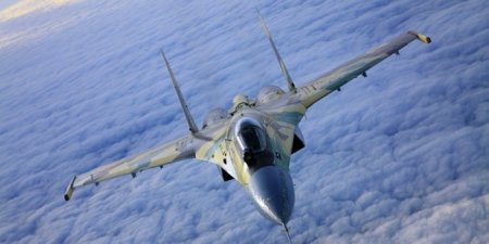 Индонезия хочет Су-35 в обмен на пальмовое масло