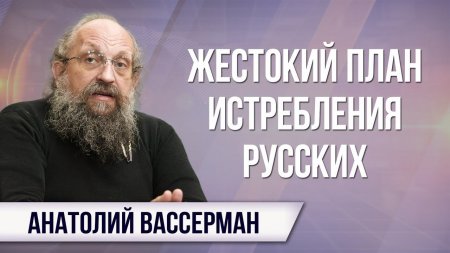 Анатолий Вассерман: Жестокий план истребления русских