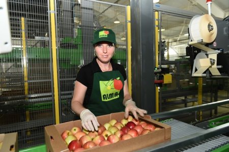 «В Краснодарском крае открылось плодохранилище мощностью 6800 тонн» Новые и модернизированные предприятия агропрома