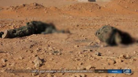 Сирийские правительственные войска несут потери южнее г. Маядин в провинции Дейр-эз-Зор