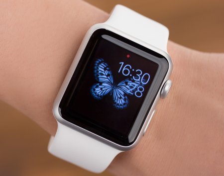 Более 18 миллионов «умных» часов продала компания Apple