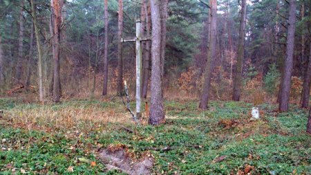 На Львовщине осквернили австрийское военное кладбище