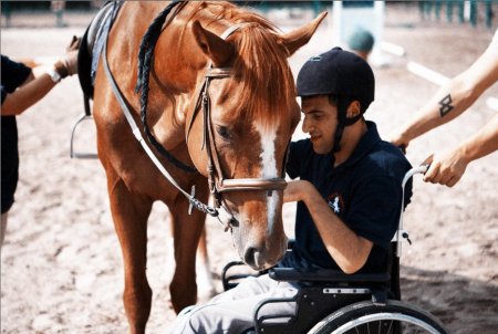 Лошади способны улучшить жизнь людям со склерозом