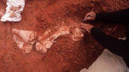 В Аргентине нашли останки динозавра, опровергающие историю эволюции рептилий