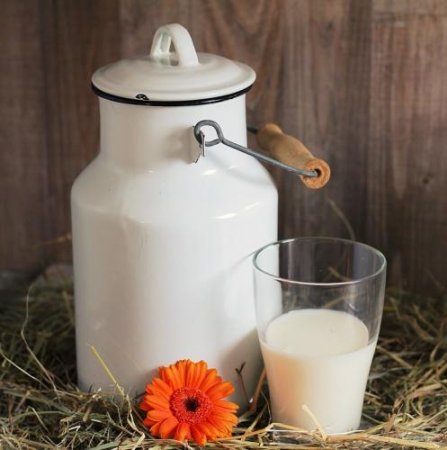 Ученые: Молоко на завтрак спасет от СД и поможет похудеть