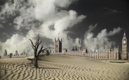 «Вопрос выживания»: Учёные требуют от политиков остановить глобальное потепление