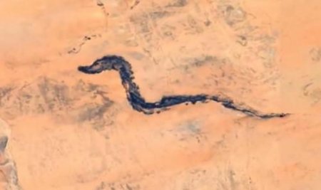 Эксперты обнаружили на снимках пустыни в Мавритании окаменелости дракона