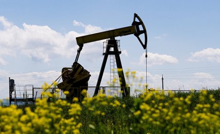 Javan (Иран): Падения цен на нефть в будущем году не предвидится