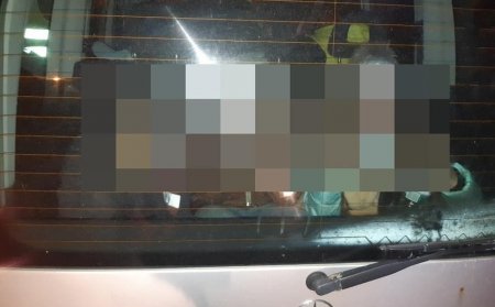 Во Львове пьяная женщина везла в багажнике троих детей