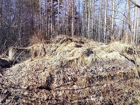 Странный лесник нашёл в лесу в Новгородской области заброшенную базу ануннаков с Нибиру