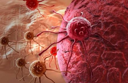 Ученые создали вирус, способный убить рак