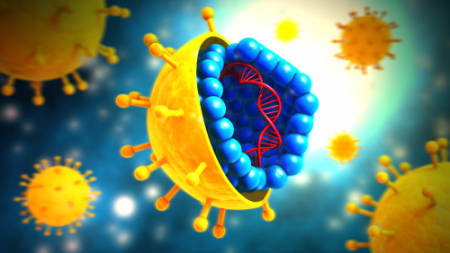 Уничтожает раковые клетки, защищая здоровые: Ученые создали вирус двойного  ...