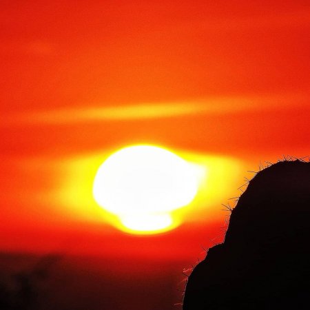 «Тайна Светила раскрыта»: Ученые визуализировали Солнечную активность за последние 400 лет