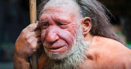 Ученые доказали, что неандертальцы использовали пенициллин и другие лекарства