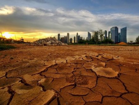 Глобальное потепление может грозить человечеству массовым вымиранием - учёные