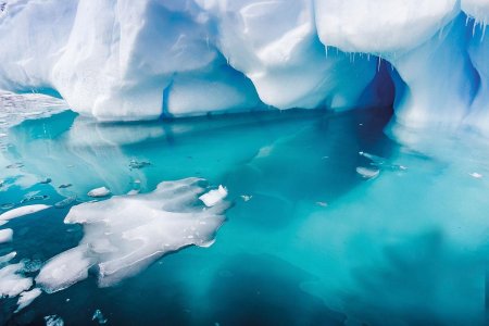 Под Антарктидой живут целые цивилизации или пришельцы: В Сеть попали звуки подземной жизни Земли